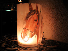 Pony vom Ponyhof