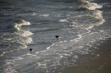 IMG_9380